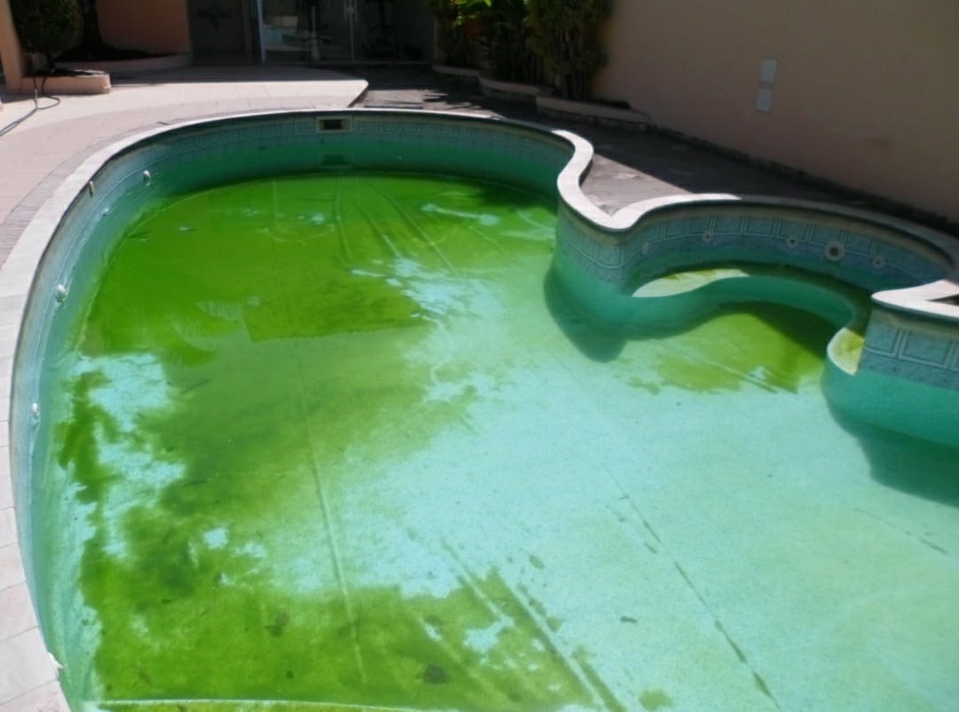 manutenção de piscina em santo andre (2)